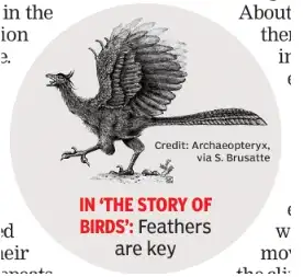 birds are their descendants who survived': The wider industry impact