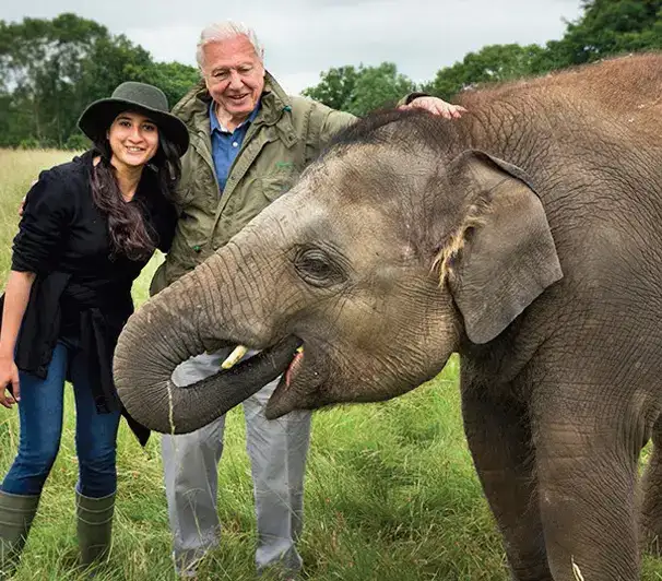 'David Attenborough has uplifted our bond with nature - he's made generations love and protect it'
