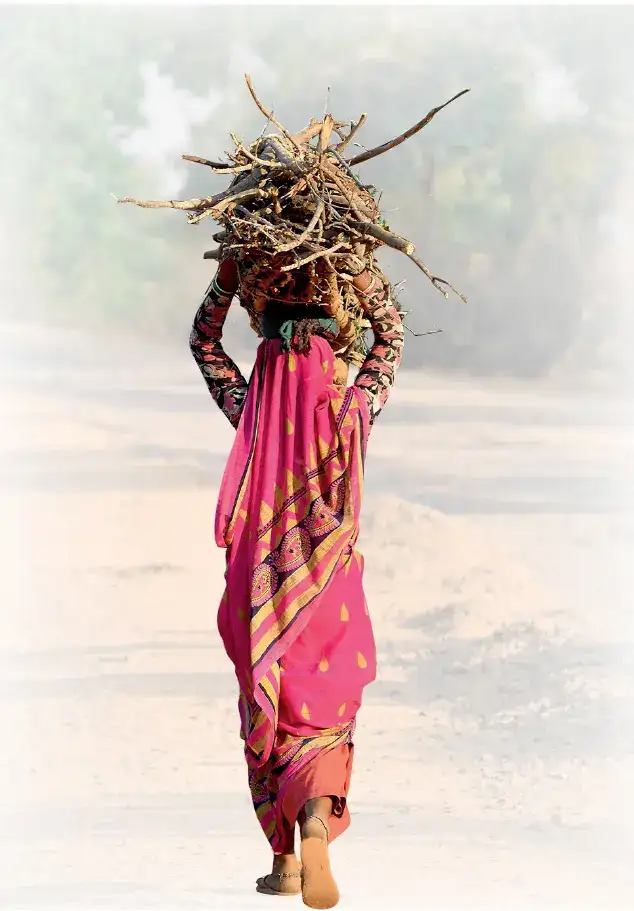 As fossil fuels are fickle, forests give some energy Foresters: The wider industry impact