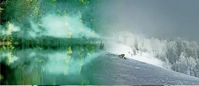 'Russia, although awed by its forests, tried to dominate these: The wider industry impact