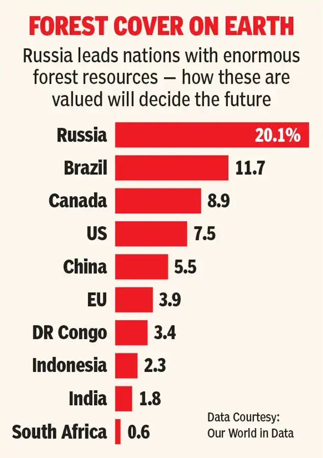 'Russia, although awed by its forests, tried to dominate these: The wider industry impact