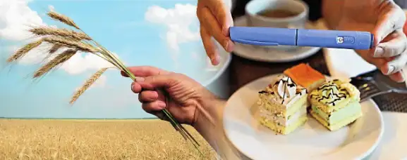 Are we humans fatter now than ever before in planetary history?: The wider industry impact
