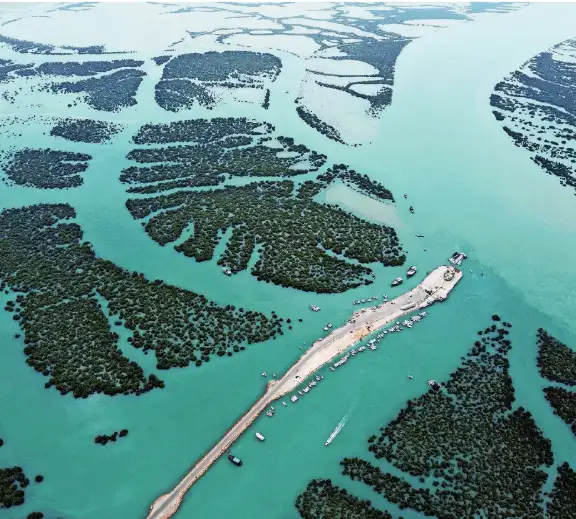 Was there a link between the Western mapping of oceans — and slavery: The wider industry impact