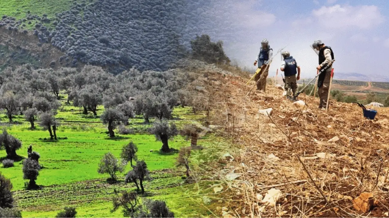 Khayyat did her fieldwork in rural South Lebanon: The wider industry impact