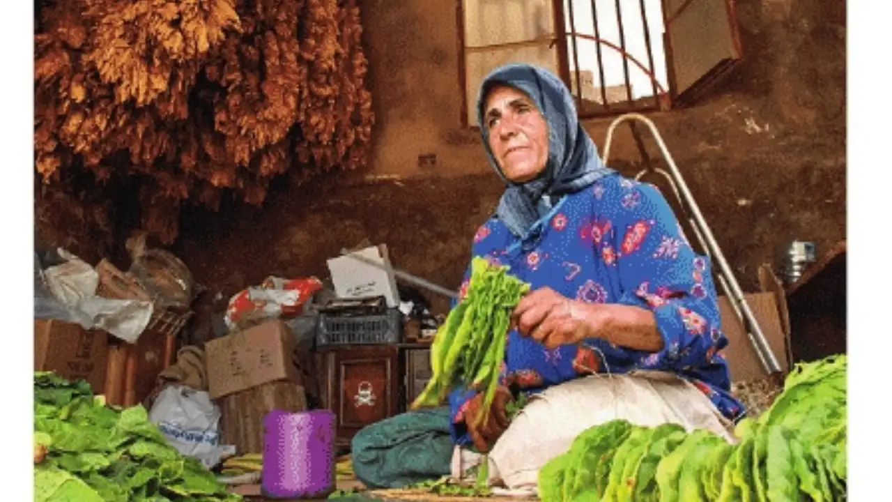 Khayyat did her fieldwork in rural South Lebanon: The wider industry impact
