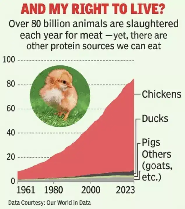 'Power dining' for the Anthropocene - vegetarianism stirs kindness: The wider industry impact