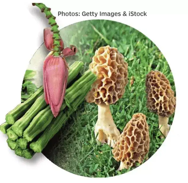 'Power dining' for the Anthropocene - vegetarianism stirs kindness: The wider industry impact
