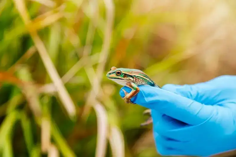 I’ve worked particularly on invasive species and I’ve been involved: The wider industry impact