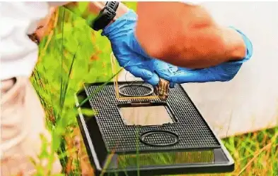 I’ve worked particularly on invasive species and I’ve been involved: The wider industry impact