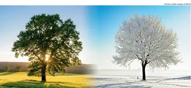 Why does the human body react to two seasons, instead of four?: The wider industry impact