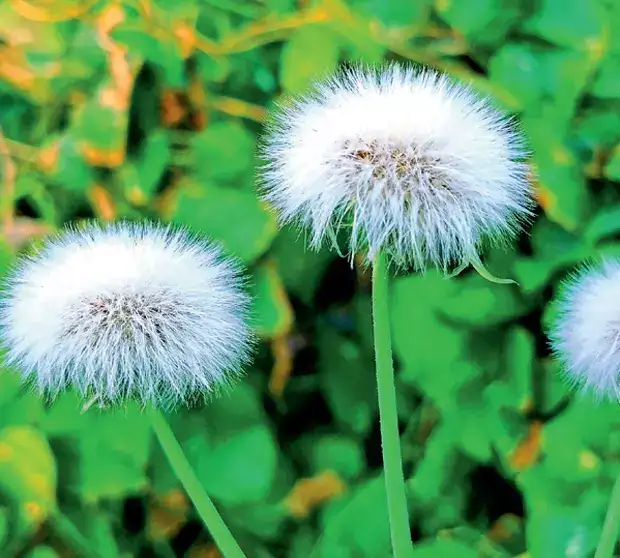 Why does the human body react to two seasons, instead of four?: The wider industry impact