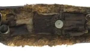 In 1921, girl buried 3,500 years ago in Denmark was found with a strange drink, unusual clothes