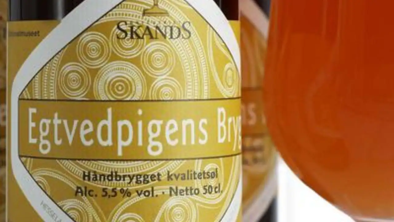 In 1921, girl buried 3,500 years ago in Denmark was found with a strange drink, unusual clothes