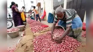 Union govt has identified Chennai, Madurai, Delhi, Ernakulam: The wider industry impact