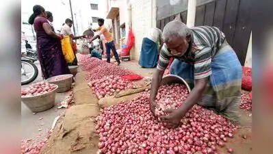Union govt has identified Chennai, Madurai, Delhi, Ernakulam: The wider industry impact