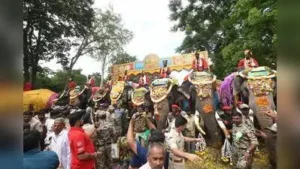 Mysuru : The arrival of the first batch of nine elephants in Mysuru on Wednesday evening marked