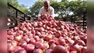 Buffer stock under stress Centre had set a summer onion procurement: The wider industry impact