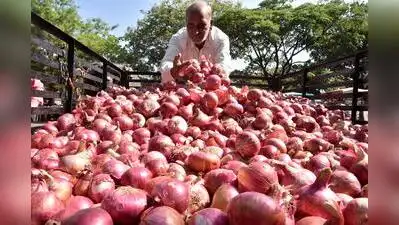 Buffer stock under stress Centre had set a summer onion procurement: The wider industry impact