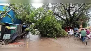 Heavy rain hits life in Kashi; civic teams clear waterlogging, fallen trees
