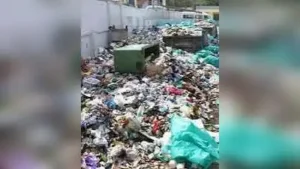 Garbage accumulating along the approach road to an urban health: The wider industry impact