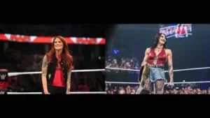 WWE salaries, endorsements, career earnings, business ventures, investments, lifestyle