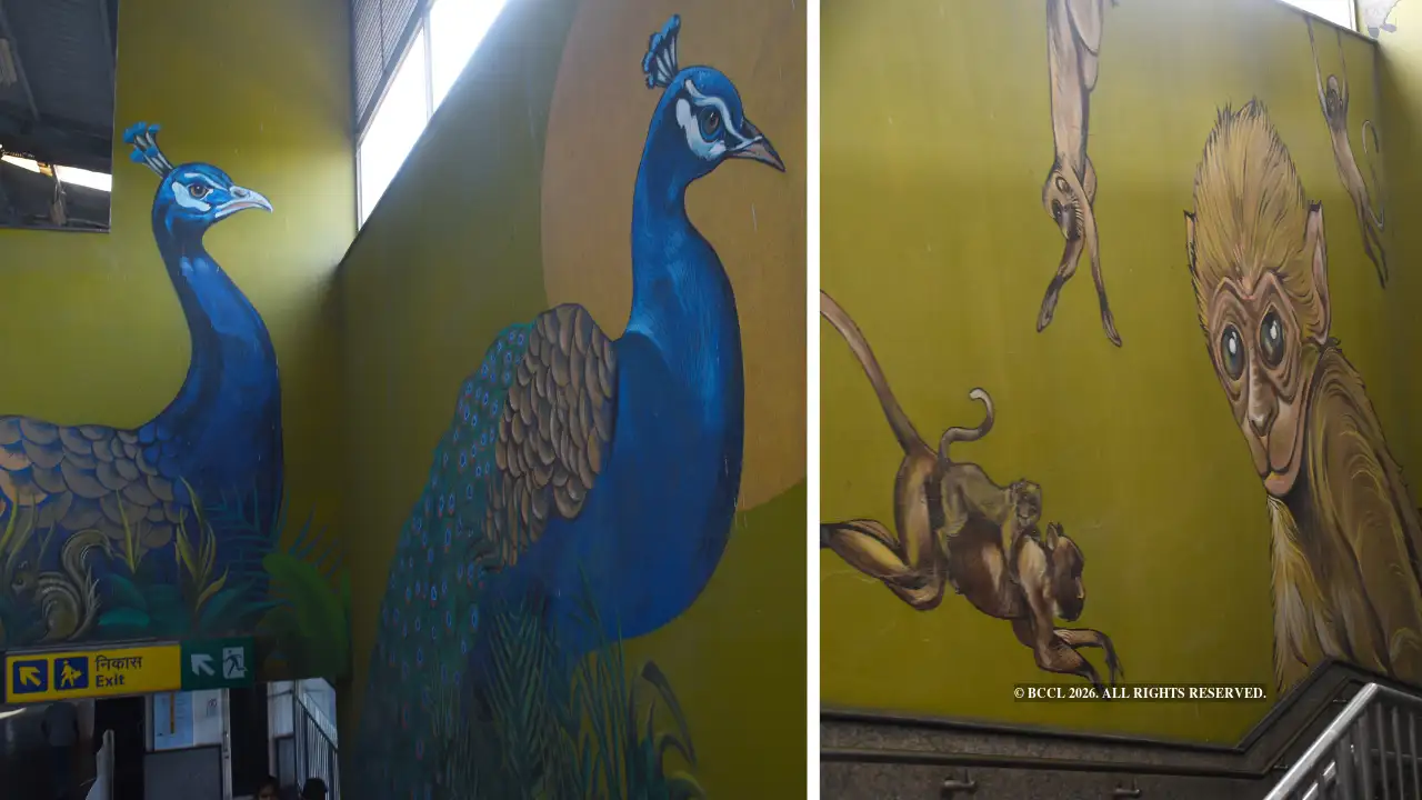 Ever look up mid-commute to find the Delhi Metro doubling as an art gallery?