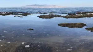Scientists discover a huge freshwater reservoir beneath the Great: The wider industry impact