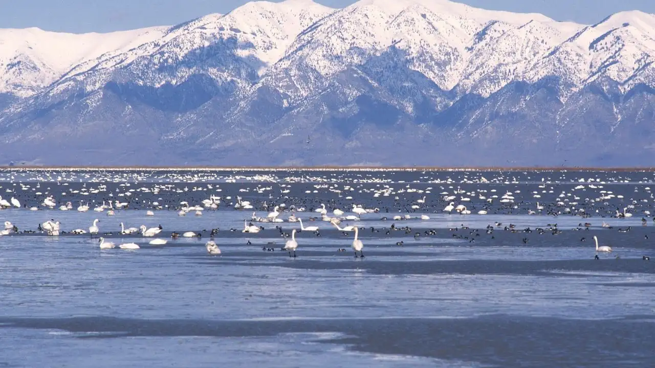 Scientists discover a huge freshwater reservoir beneath the Great: The wider industry impact