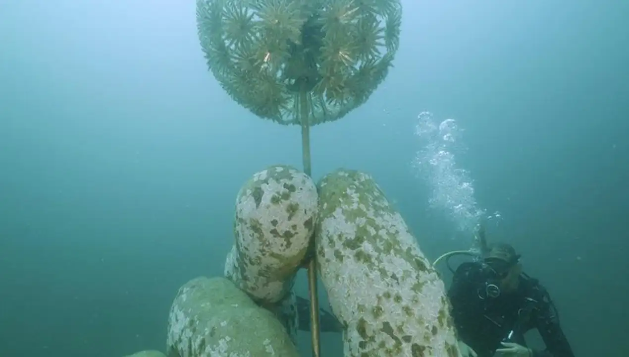 Since the museum opened, more than 100 species of marine and plant: The wider industry impact