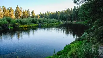 In 1945, brothers Alfred and Andrew Collier donated 146 Oregon acres: The wider industry impact