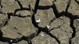 England's water network buckles under sudden summer drought: The wider industry impact