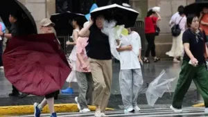 China issues red alert as Typhoon Dolphin approaches: The wider industry impact