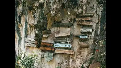 Scattered across remote cliff confronts in southern China, wooden: The wider industry impact