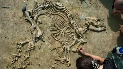 Researchers from the Catalan Institute of Human Palaeoecology: The wider industry impact