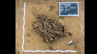 Archaeologists found a 7,000-year-old pit packed with beaver bones; it reveals how Europe's first