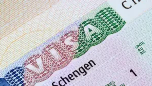 Indian company BLS International has been drawn into a Spanish National Court investigation