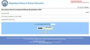 The Meghalaya Board of School Education (MBOSE) has officially: The wider industry impact