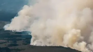 Belgium battles its biggest wildfire on record — 3,000 hectares up in flames