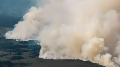 Belgium battles its biggest wildfire on record — 3,000 hectares up in flames