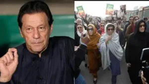 Aleema Khan welcomed the order, saying the family had been demanding: The wider industry impact