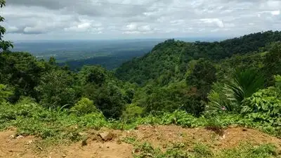 Tripura convened a key meeting on carbon sequestration and climate: The wider industry impact
