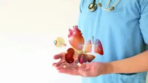 In 2025, India recorded 239 heart transplants through cadaver organ: The wider industry impact