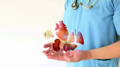 In 2025, India recorded 239 heart transplants through cadaver organ: The wider industry impact