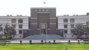 Kutch widow seeks custody of 6 kids from daughter