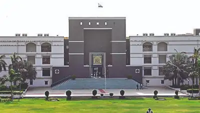 Kutch widow seeks custody of 6 kids from daughter