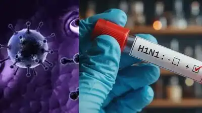 138 H1N1 cases in 24 hours in Delhi; hospitals told to carve out: The wider industry impact