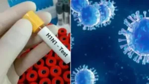 Delhi reported 138 new H1N1 cases in the last 24 hours, taking: The wider industry impact
