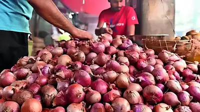 Starting Thursday, the government will sell onions in Delhi at a subsidised price of Rs 35 per