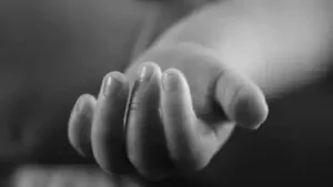Following reports of three newborn deaths at BMC-run Rajawadi: The wider industry impact