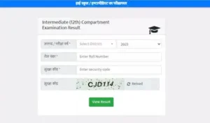 Students who appeared in the UP Class 10, 12 Compartment: The wider industry impact